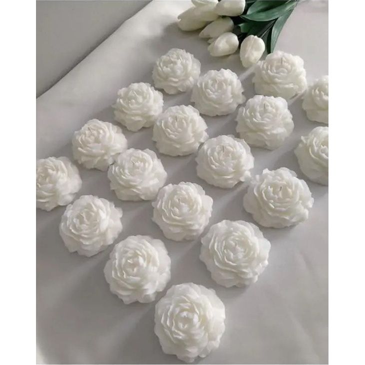 Stugonia Alia Mum 6&