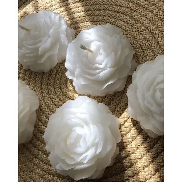 Stugonia Alia Mum 6&