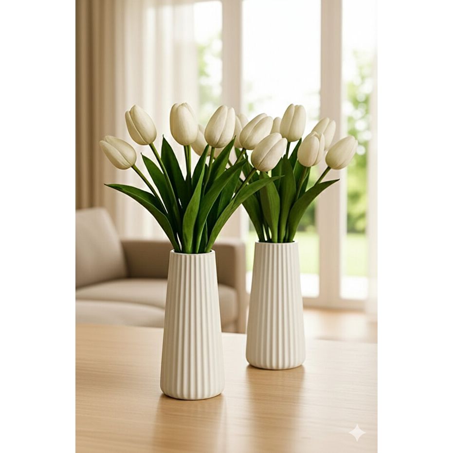 Stugonia Lino 2&